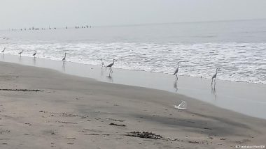 मुंबई और कोलकाता जैसे शहरों पर जलवायु से जुड़े गंभीर खतरों का डर