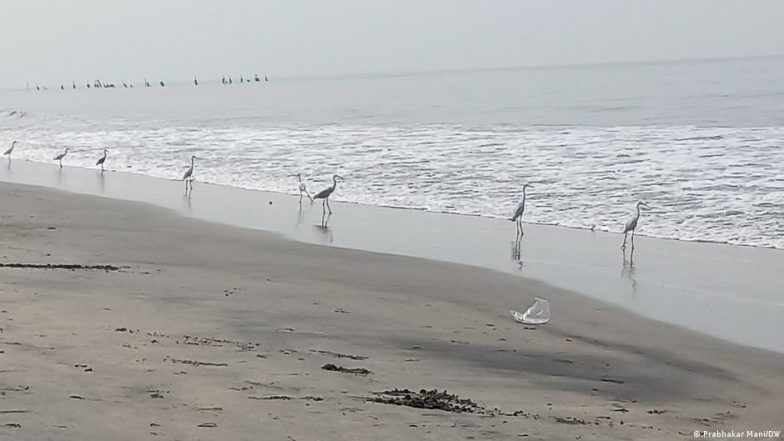 मुंबई और कोलकाता जैसे शहरों पर जलवायु से जुड़े गंभीर खतरों का डर