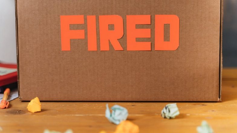 FuturLab Layoffs: 'पावरवॉश सिम्युलेटर' बनाने वाले स्टूडियो ने की कर्मचारियों की छंटनी; एक अप्रकाशित गेम प्रोजेक्ट भी किया रद्द