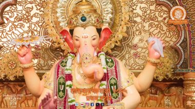 Lalbaugcha Raja: लालबागचा राजा पंडाल के फीडर पिलर में शॉर्ट सर्किट, बड़ा हादसा टला; मुंबई में करंट की दो अलग घटनाओं में 3 की मौत