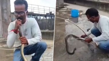 Snake CPR Video: गुजरात के वापी में मानवता की मिसाल, अचेत मिले 5 फीट लंबे सांप को रेस्क्यूअर ने मुंह से CPR देकर बचाई जान, VIDEO वायरल