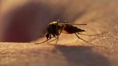 Mumbai Malaria Surge 2026: मुंबई में मलेरिया का प्रकोप; मरीजों की संख्या 9,298 पार, 3 साल बाद संक्रमण से 2 मौतें दर्ज