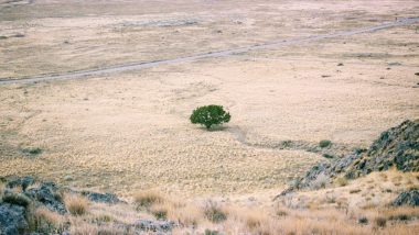 Rajasthan Drought Crisis: राजस्थान के 14 जिलों की 80 तहसीलें सूखाग्रस्त घोषित; जालोर और जोधपुर सबसे ज्यादा प्रभावित, 6 महीने तक लागू रहेंगे राहत प्रावधान